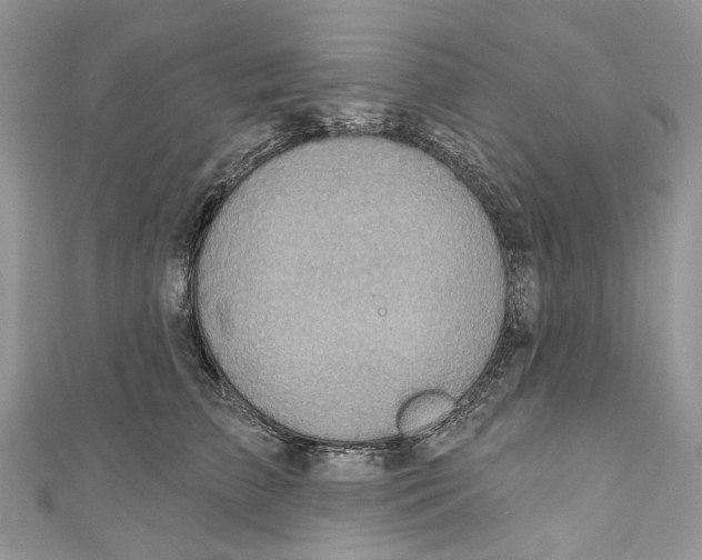 X0000110980709200907171732