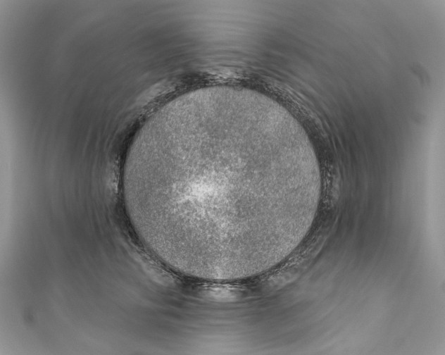 X0000110980710200907171732