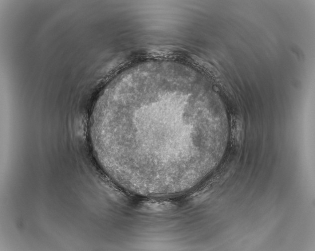 X0000110980712200907171732