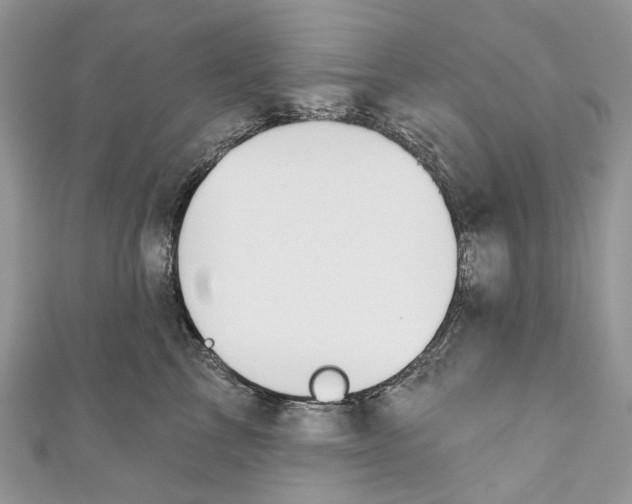 X0000110980713200907171732