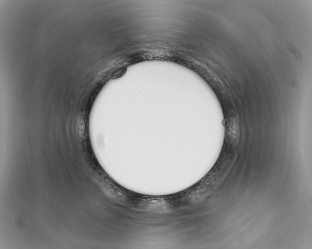 X0000110980715200907171732