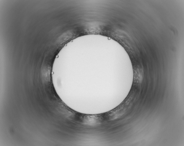 X0000110980717200907171731