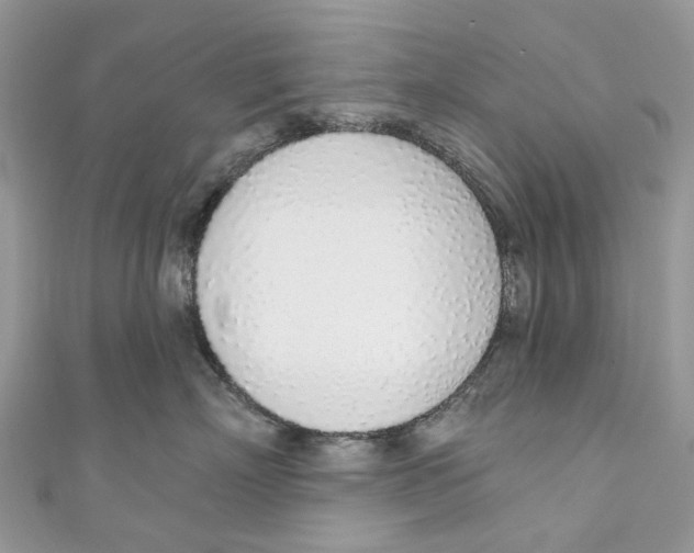 X0000110980718200907171731