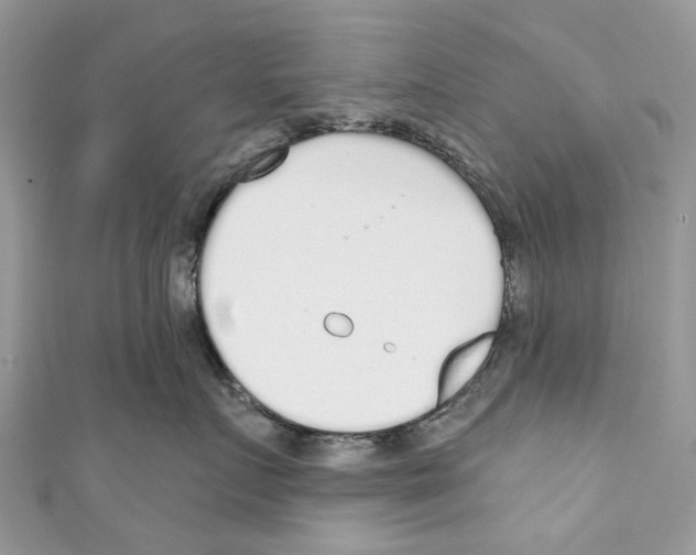 X0000110980719200907171731