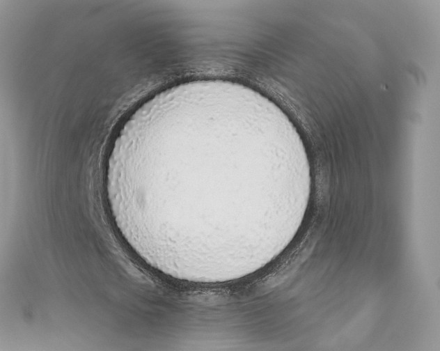 X0000110980721200907171731