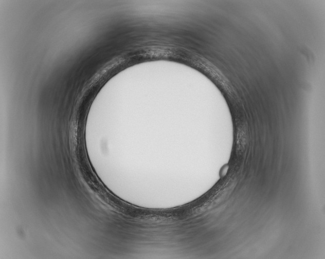 X0000110980722200907171731