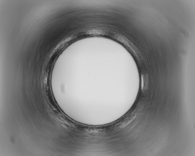 X0000110980723200907171731