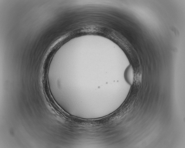 X0000110980724200907171731