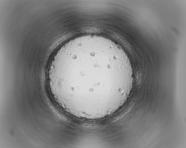 X0000110980725200907171731