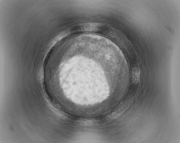 X0000110980726200907171731