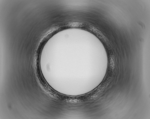 X0000110980730200907171731