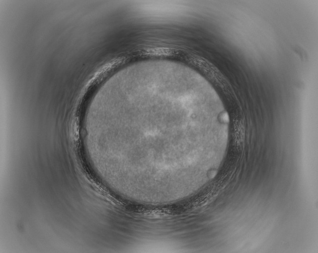 X0000110980731200907171731