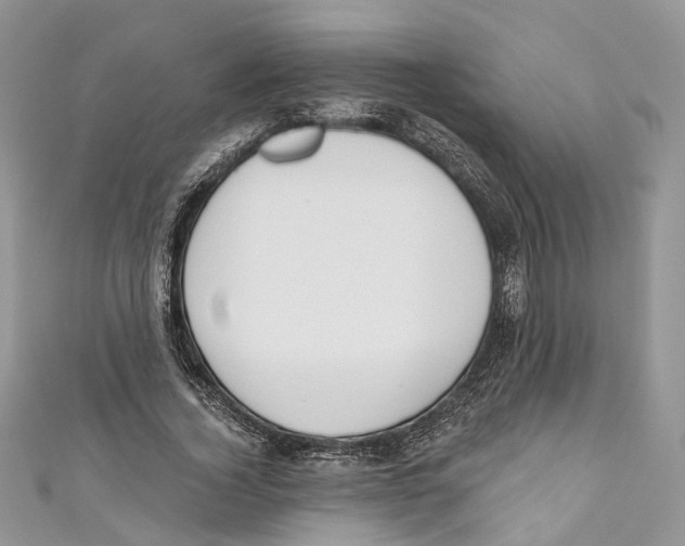 X0000110980732200907171731