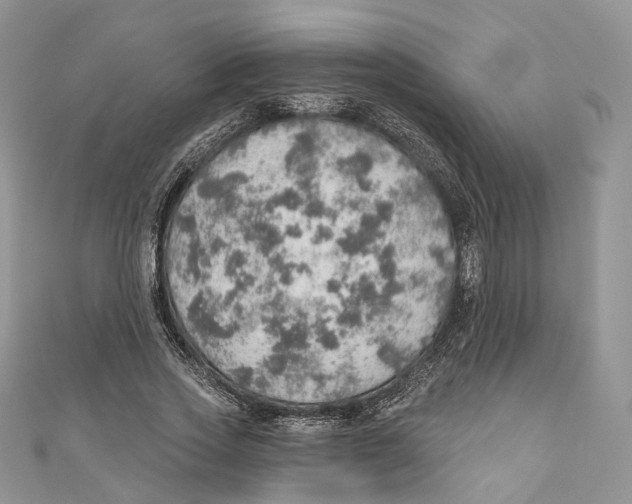 X0000110980733200907171731