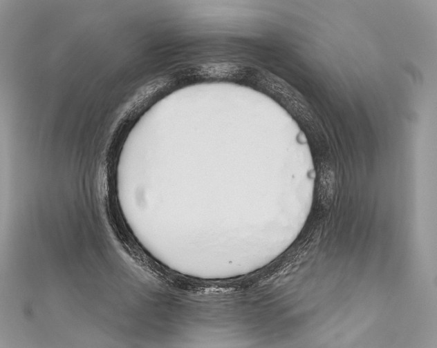 X0000110980734200907171731