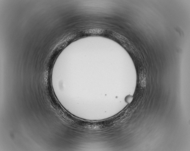 X0000110980735200907171731