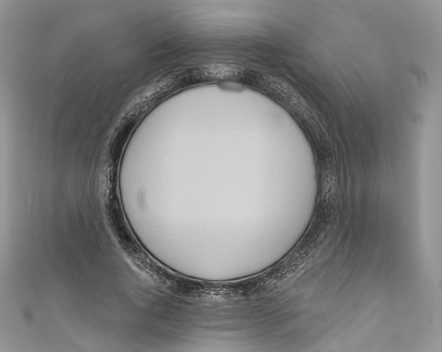 X0000110980736200907171731