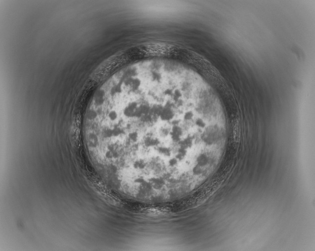 X0000110980737200907171731