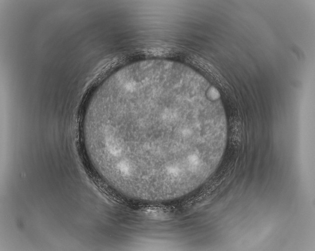 X0000110980738200907171731