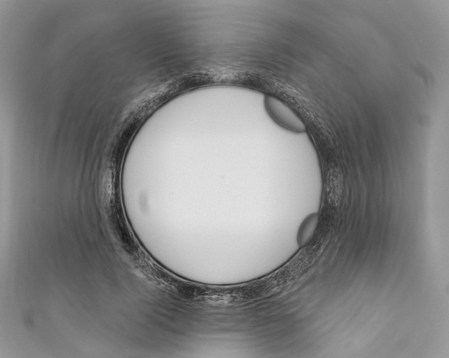 X0000110980740200907171731
