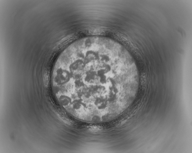 X0000110980741200907171731