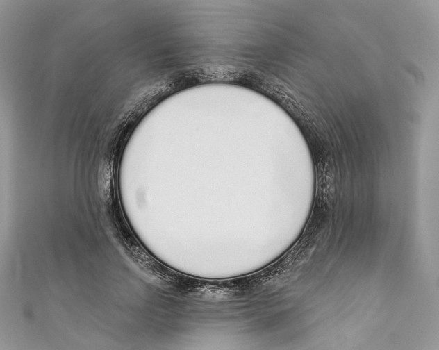 X0000110980742200907171731