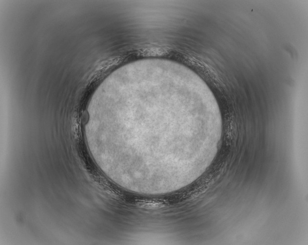 X0000110980743200907171731