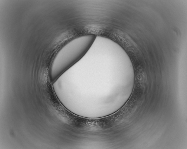 X0000110980744200907171731
