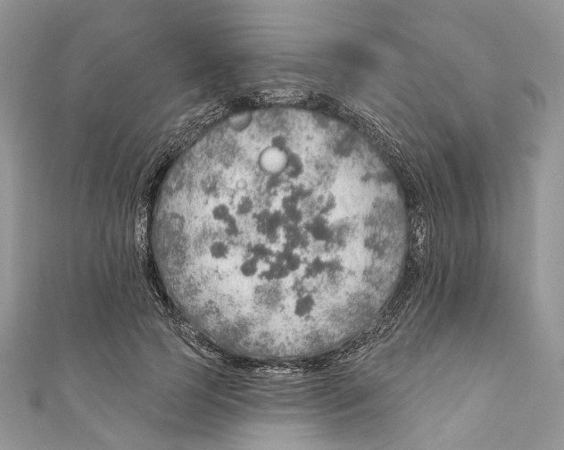X0000110980745200907171731