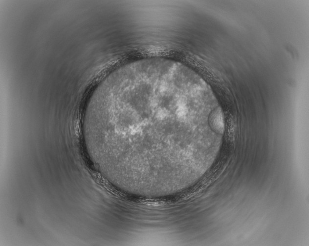 X0000110980746200907171731