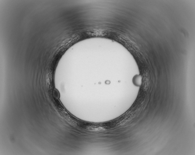 X0000110980747200907171731