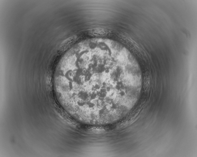 X0000110980749200907171731