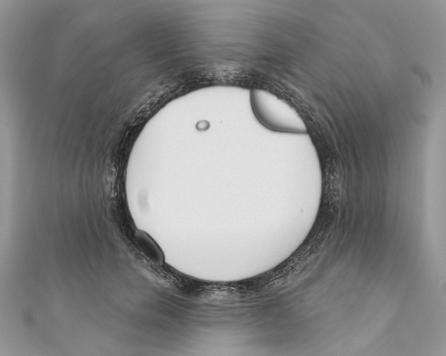 X0000110980750200907171731