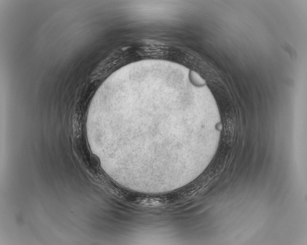 X0000110980751200907171731