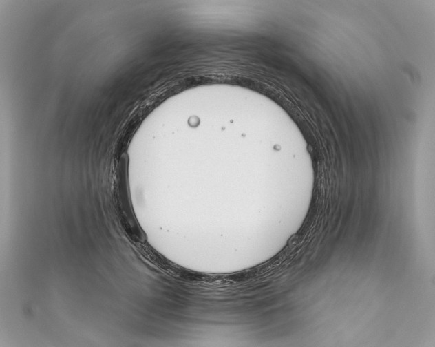 X0000110980752200907171731