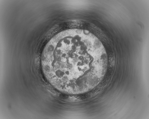 X0000110980753200907171731