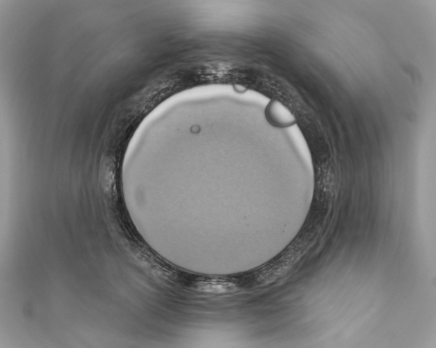 X0000110980754200907171731