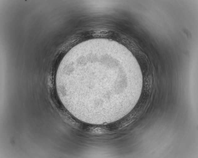 X0000110980755200907171731