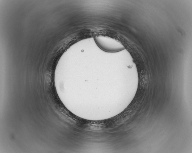 X0000110980756200907171731