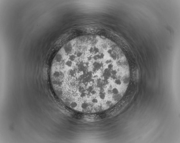 X0000110980757200907171731