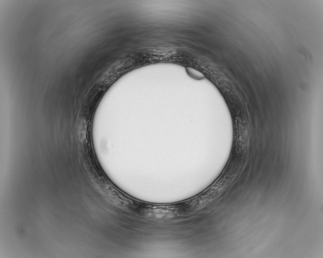 X0000110980758200907171731