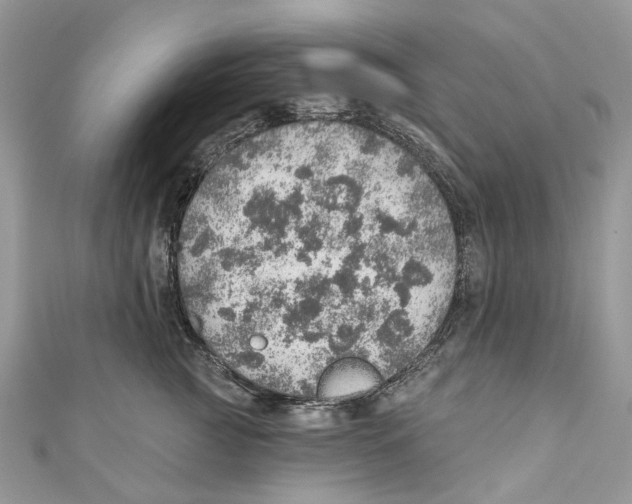 X0000110980761200907171731
