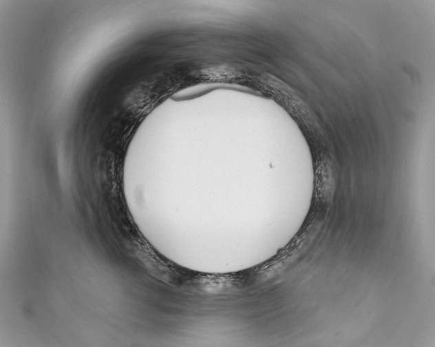 X0000110980762200907171731