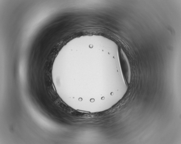 X0000110980764200907171731