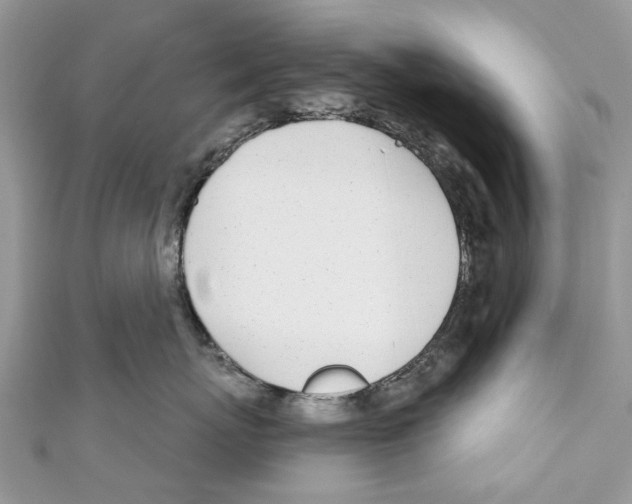 X0000110980767200907171731