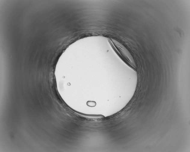 X0000110980768200907171731