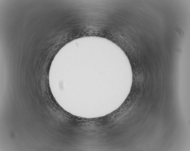 X0000110980769200907171731