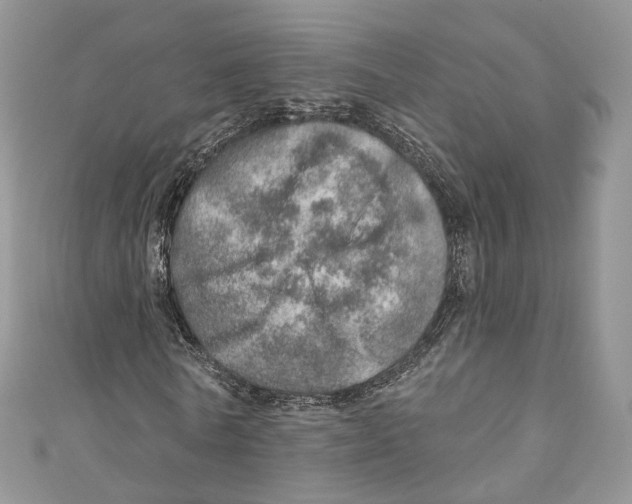X0000110980770200907171731