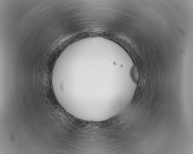 X0000110980773200907171731