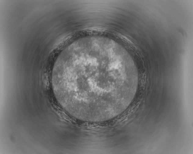 X0000110980774200907171731